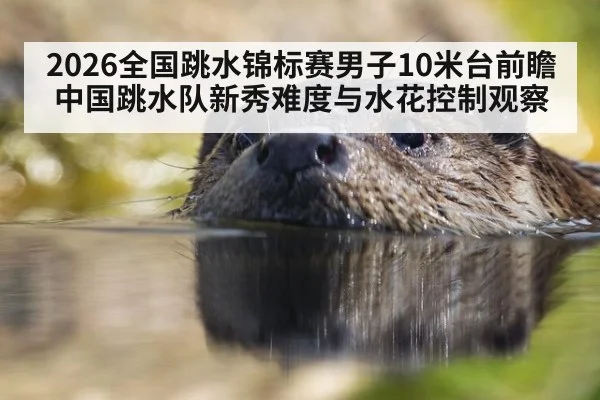 2026全国跳水锦标赛男子10米台前瞻 中国跳水队新秀难度与水花控制观察